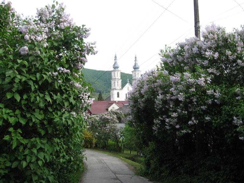 Homestay Khomenko Perecseny Kültér fotó